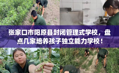 张家口市阳原县封闭管理式学校,盘点几家培养孩子独立能力学校! 张家口市阳原县封闭管理式学校,盘点几家培养孩子独立能力学校!