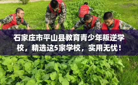 石家庄市平山县教育青少年叛逆学校,精选这5家学校,实用无忧! 石家庄市平山县教育青少年叛逆学校,精选这5家学校,实用无忧!
