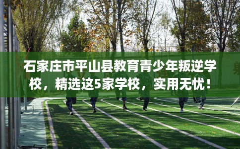 石家庄市平山县教育青少年叛逆学校,精选这5家学校,实用无忧! 石家庄市平山县教育青少年叛逆学校,精选这5家学校,实用无忧!