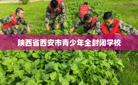 陕西省西安市青少年全封闭学校 陕西省西安市青少年全封闭学校