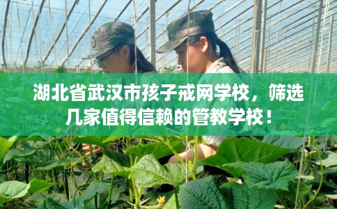 湖北省武汉市孩子戒网学校,筛选几家值得信赖的管教学校! 湖北省武汉市孩子戒网学校,筛选几家值得信赖的管教学校!