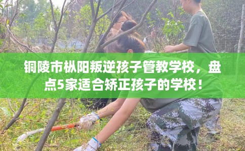 铜陵市枞阳叛逆孩子管教学校,盘点5家适合矫正孩子的学校! 铜陵市枞阳叛逆孩子管教学校,盘点5家适合矫正孩子的学校!