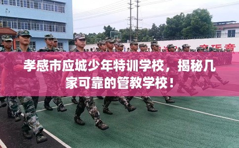 孝感市应城少年特训学校，揭秘几家可靠的管教学校！