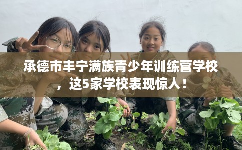 承德市丰宁满族青少年训练营学校,这5家学校表现惊人! 承德市丰宁满族青少年训练营学校,这5家学校表现惊人!