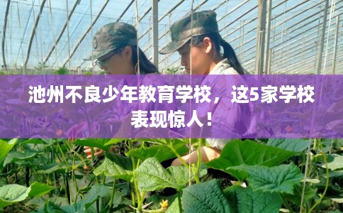 池州不良少年教育学校,这5家学校表现惊人! 池州不良少年教育学校,这5家学校表现惊人!