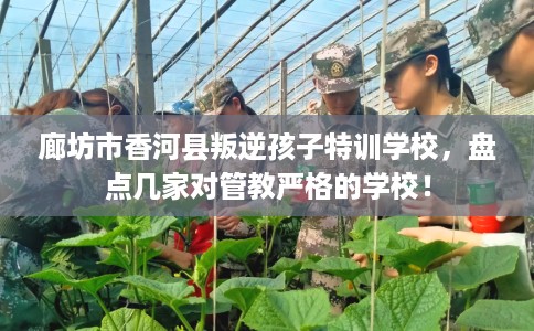 廊坊市香河县叛逆孩子特训学校,盘点几家对管教严格的学校! 廊坊市香河县叛逆孩子特训学校,盘点几家对管教严格的学校!