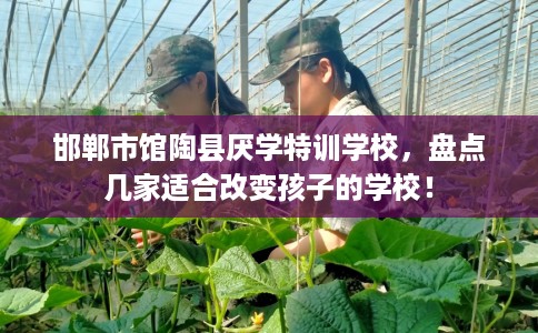 邯郸市馆陶县厌学特训学校,盘点几家适合改变孩子的学校! 邯郸市馆陶县厌学特训学校,盘点几家适合改变孩子的学校!