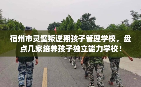 宿州市灵璧叛逆期孩子管理学校，盘点几家培养孩子独立能力学校！