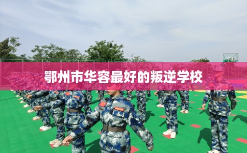 鄂州市华容最好的叛逆学校 鄂州市华容最好的叛逆学校