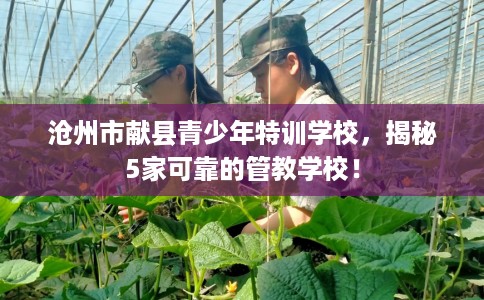 沧州市献县青少年特训学校,揭秘5家可靠的管教学校! 沧州市献县青少年特训学校,揭秘5家可靠的管教学校!