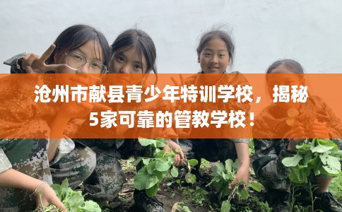 沧州市献县青少年特训学校,揭秘5家可靠的管教学校! 沧州市献县青少年特训学校,揭秘5家可靠的管教学校!