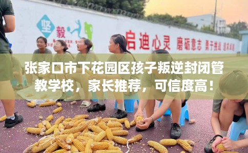 张家口市下花园区孩子叛逆封闭管教学校,家长推荐,可信度高! 张家口市下花园区孩子叛逆封闭管教学校,家长推荐,可信度高!