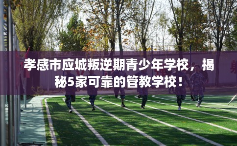 孝感市应城叛逆期青少年学校，揭秘5家可靠的管教学校！