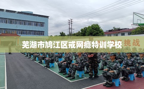 芜湖市鸠江区戒网瘾特训学校 芜湖市鸠江区戒网瘾特训学校