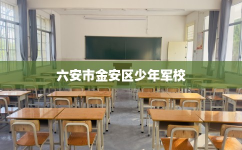六安市金安区少年军校 六安市金安区少年军校