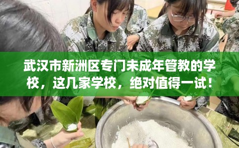 武汉市新洲区专门未成年管教的学校,这几家学校,绝对值得一试! 武汉市新洲区专门未成年管教的学校,这几家学校,绝对值得一试!