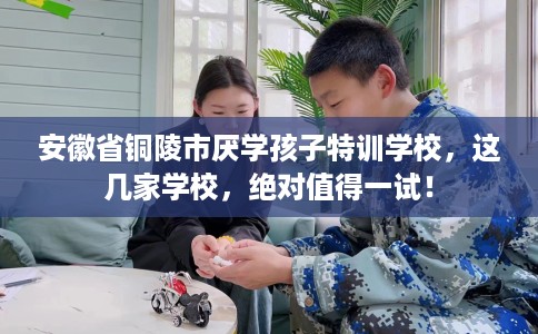 安徽省铜陵市厌学孩子特训学校,这几家学校,绝对值得一试! 安徽省铜陵市厌学孩子特训学校,这几家学校,绝对值得一试!
