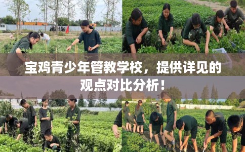 宝鸡青少年管教学校，提供详见的观点对比分析！
