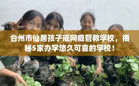 台州市仙居孩子戒网瘾管教学校,揭秘5家办学悠久可靠的学校! 台州市仙居孩子戒网瘾管教学校,揭秘5家办学悠久可靠的学校!