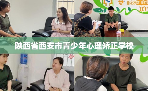 陕西省西安市青少年心理矫正学校 陕西省西安市青少年心理矫正学校