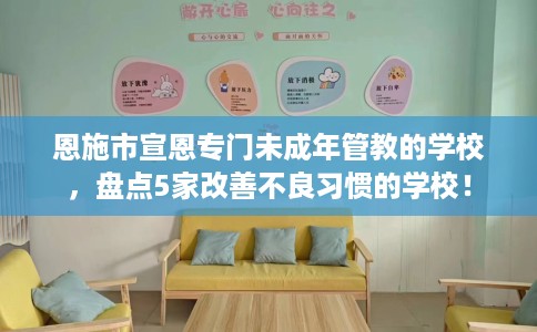 恩施市宣恩专门未成年管教的学校,盘点5家改善不良习惯的学校! 恩施市宣恩专门未成年管教的学校,盘点5家改善不良习惯的学校!