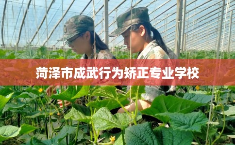 菏泽市成武行为矫正专业学校 菏泽市成武行为矫正专业学校