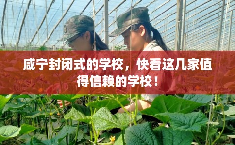 咸宁封闭式的学校,快看这几家值得信赖的学校! 咸宁封闭式的学校,快看这几家值得信赖的学校!