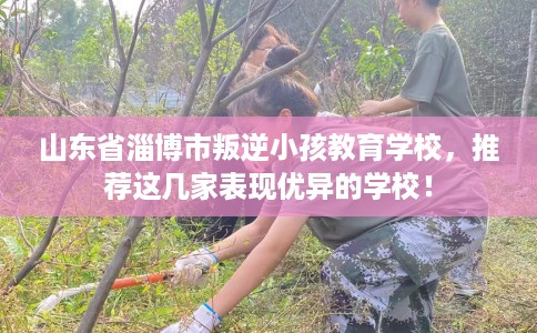 山东省淄博市叛逆小孩教育学校,推荐这几家表现优异的学校! 山东省淄博市叛逆小孩教育学校,推荐这几家表现优异的学校!
