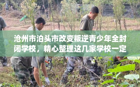 沧州市泊头市改变叛逆青少年全封闭学校,精心整理这几家学校一定有用! 沧州市泊头市改变叛逆青少年全封闭学校,精心整理这几家学校一定有用!