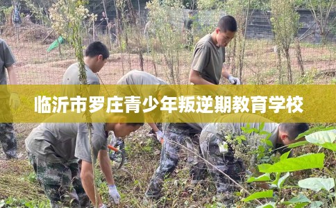 临沂市罗庄青少年叛逆期教育学校 临沂市罗庄青少年叛逆期教育学校