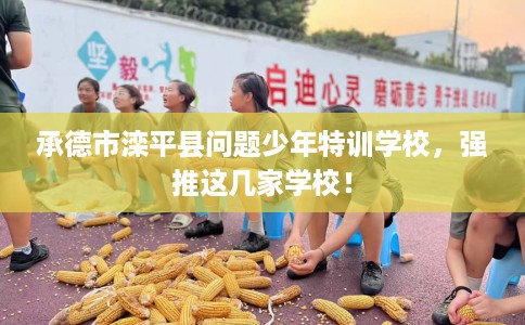 承德市滦平县问题少年特训学校,强推这几家学校! 承德市滦平县问题少年特训学校,强推这几家学校!