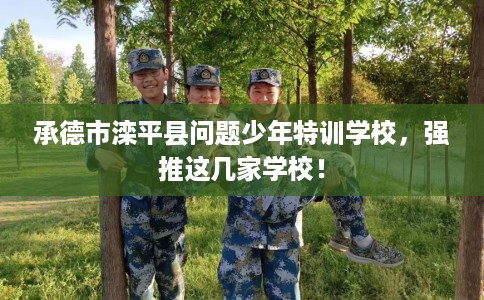 承德市滦平县问题少年特训学校,强推这几家学校! 承德市滦平县问题少年特训学校,强推这几家学校!