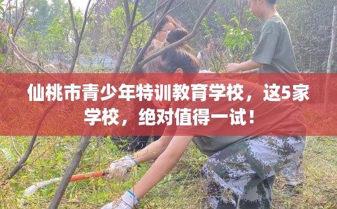 仙桃市青少年特训教育学校,这5家学校,绝对值得一试! 仙桃市青少年特训教育学校,这5家学校,绝对值得一试!