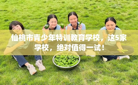 仙桃市青少年特训教育学校,这5家学校,绝对值得一试! 仙桃市青少年特训教育学校,这5家学校,绝对值得一试!