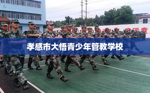 孝感市大悟青少年管教学校 孝感市大悟青少年管教学校