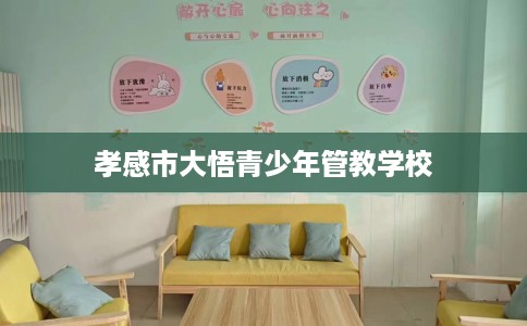 孝感市大悟青少年管教学校 孝感市大悟青少年管教学校