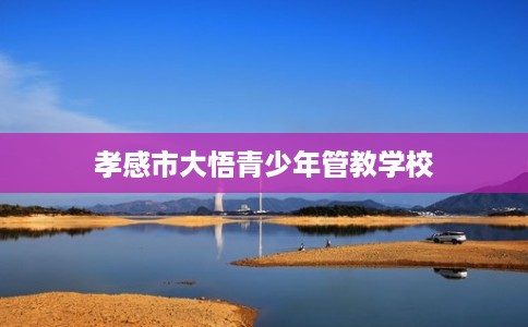 孝感市大悟青少年管教学校 孝感市大悟青少年管教学校