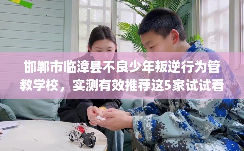 邯郸市临漳县不良少年叛逆行为管教学校,实测有效推荐这5家试试看! 邯郸市临漳县不良少年叛逆行为管教学校,实测有效推荐这5家试试看!