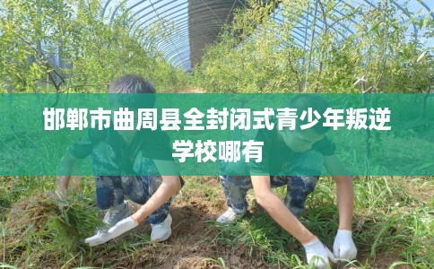 邯郸市曲周县全封闭式青少年叛逆学校哪有 邯郸市曲周县全封闭式青少年叛逆学校哪有