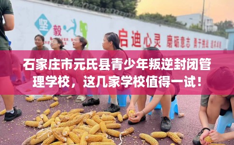 石家庄市元氏县青少年叛逆封闭管理学校,这几家学校值得一试! 石家庄市元氏县青少年叛逆封闭管理学校,这几家学校值得一试!