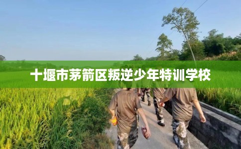 十堰市茅箭区叛逆少年特训学校