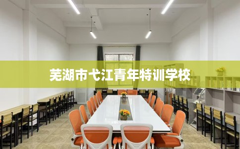 芜湖市弋江青年特训学校 芜湖市弋江青年特训学校