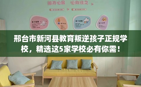 邢台市新河县教育叛逆孩子正规学校,精选这5家学校必有你需! 邢台市新河县教育叛逆孩子正规学校,精选这5家学校必有你需!