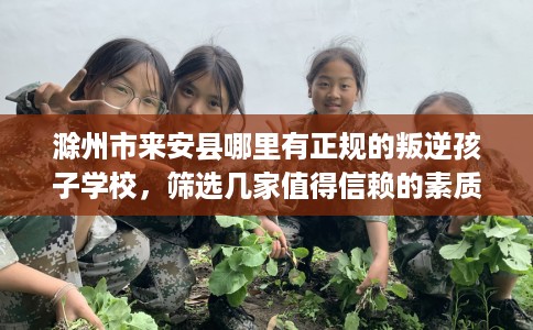 滁州市来安县哪里有正规的叛逆孩子学校,筛选几家值得信赖的素质学校! 滁州市来安县哪里有正规的叛逆孩子学校,筛选几家值得信赖的素质学校!