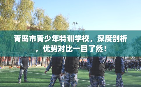 青岛市青少年特训学校,深度剖析,优势对比一目了然! 青岛市青少年特训学校,深度剖析,优势对比一目了然!