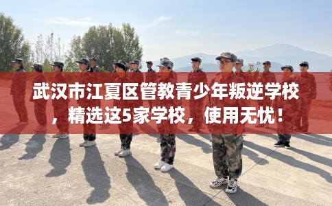 武汉市江夏区管教青少年叛逆学校,精选这5家学校,使用无忧! 武汉市江夏区管教青少年叛逆学校,精选这5家学校,使用无忧!