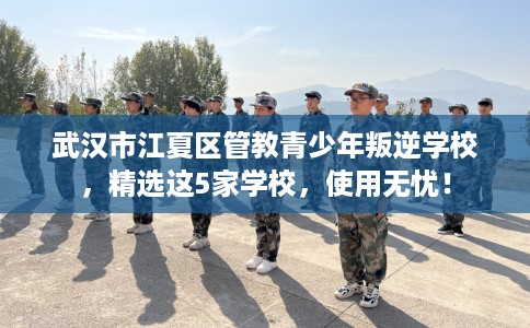 武汉市江夏区管教青少年叛逆学校,精选这5家学校,使用无忧! 武汉市江夏区管教青少年叛逆学校,精选这5家学校,使用无忧!