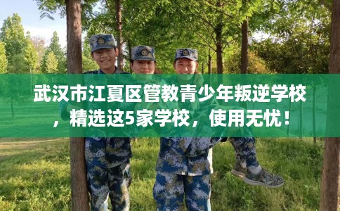 武汉市江夏区管教青少年叛逆学校,精选这5家学校,使用无忧! 武汉市江夏区管教青少年叛逆学校,精选这5家学校,使用无忧!