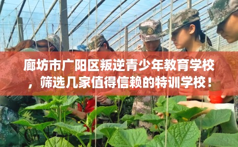 廊坊市广阳区叛逆青少年教育学校,筛选几家值得信赖的特训学校! 廊坊市广阳区叛逆青少年教育学校,筛选几家值得信赖的特训学校!