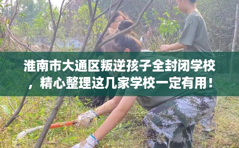 淮南市大通区叛逆孩子全封闭学校，精心整理这几家学校一定有用！